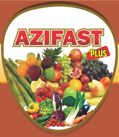 Azifast Plus Device mark 7104789 Trademark