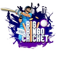 Big Bingo Cricket (device) Device mark 7115666 Trademark