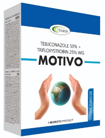 Modesto Motivo Device mark 7127690 Trademark
