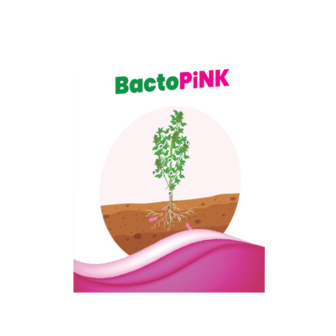 Bactopink Device mark 7137640 Trademark