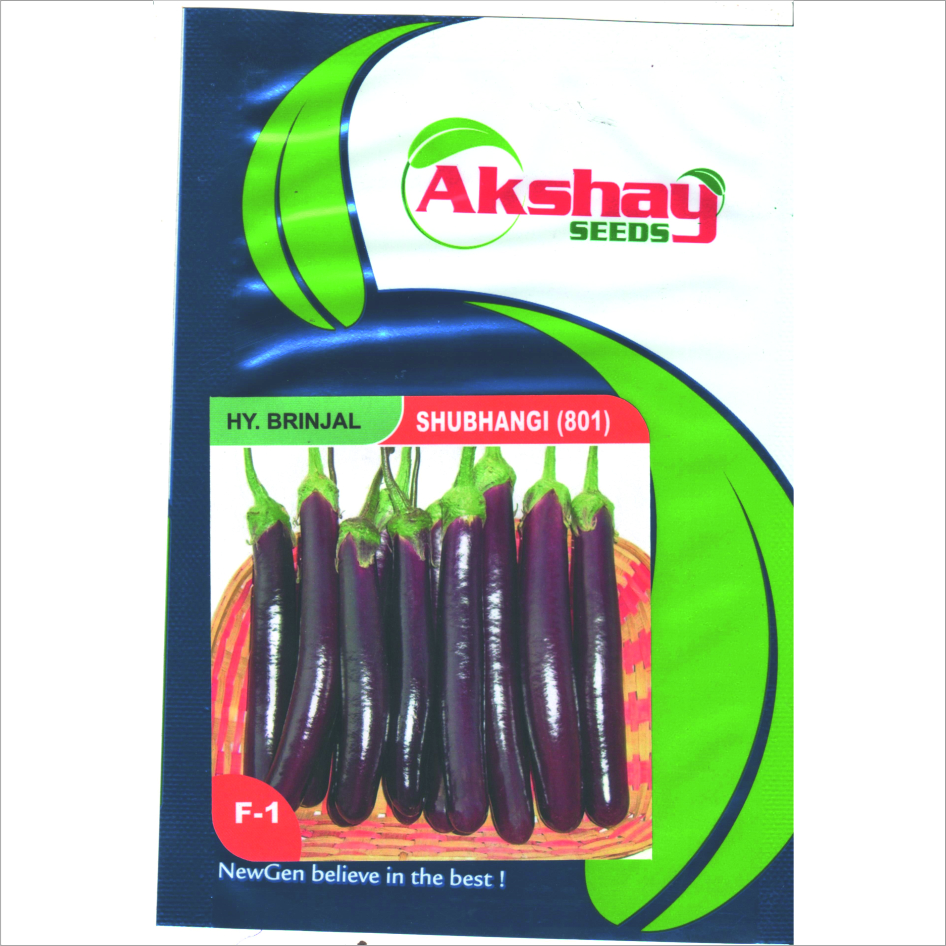 Hy.brinjal Shubhangi Device mark 7148399 Trademark