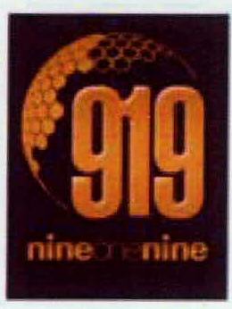 Nineonenine 919 Device mark 2260888 Trademark