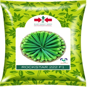 Logo East West Seed International With Rockstar 222 F1 Device mark 7185160 Trademark