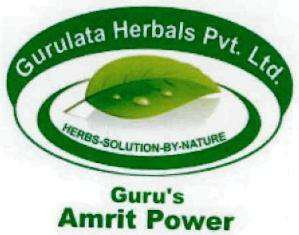 Guru's Amrit Power Device mark 2386307 Trademark