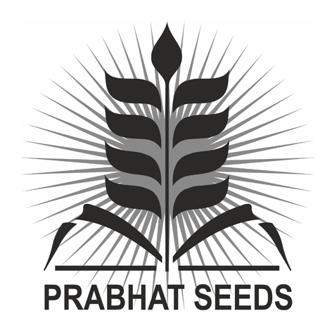Prabhat Seeds Device mark 7199979 Trademark