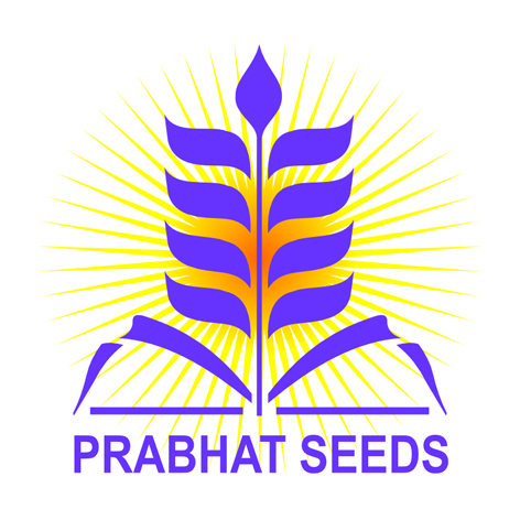Prabhat Seeds Device mark 7199980 Trademark
