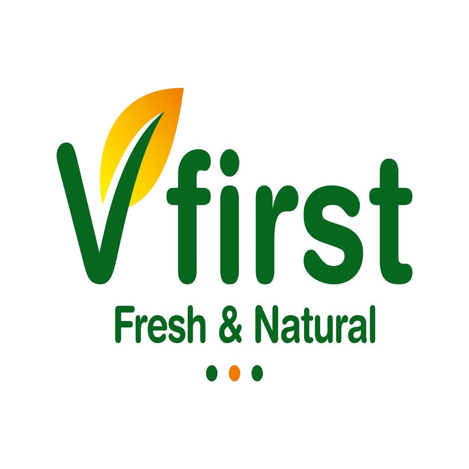 V First Device mark 7203290 Trademark