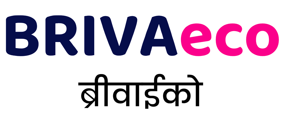 Brivaeco Device mark 7206602 Trademark