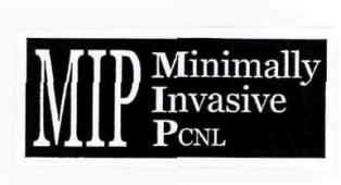 Mip Minimally Invasive Pcnl (label) Device mark 2890621 Trademark