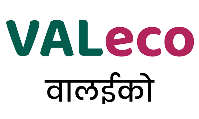 Valeco Device mark 7216121 Trademark