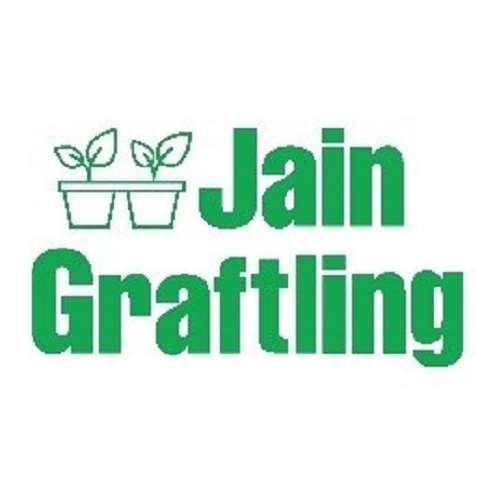 Jain Graftling Device mark 7221319 Trademark