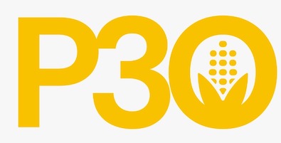 P30 Device mark 7227609 Trademark