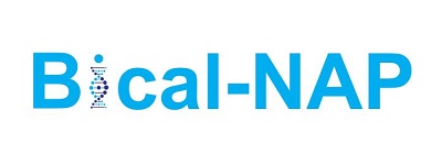 Bical-nap Device mark 7228591 Trademark
