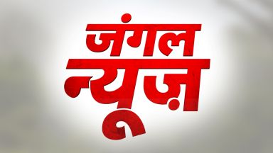 Jungle News Device mark 7231442 Trademark