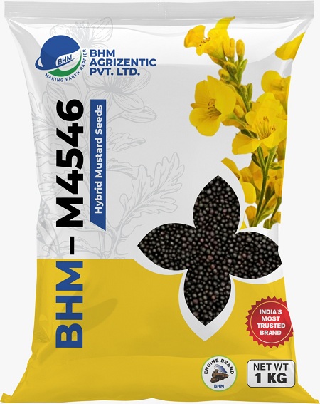 Bhm - M4546 Device mark 7240823 Trademark
