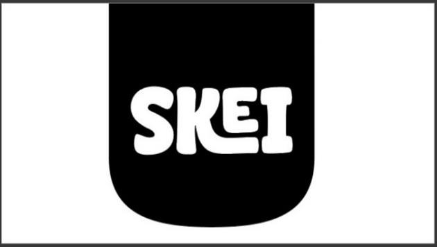 Skei Device Mark Device mark 7243141 Trademark