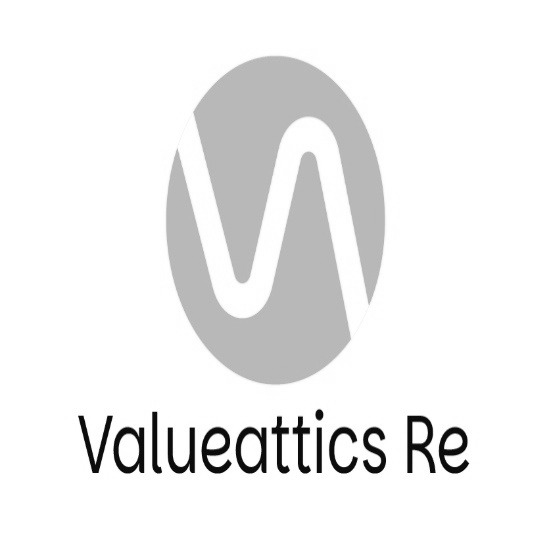 Valueattics Re Device mark 7244499 Trademark