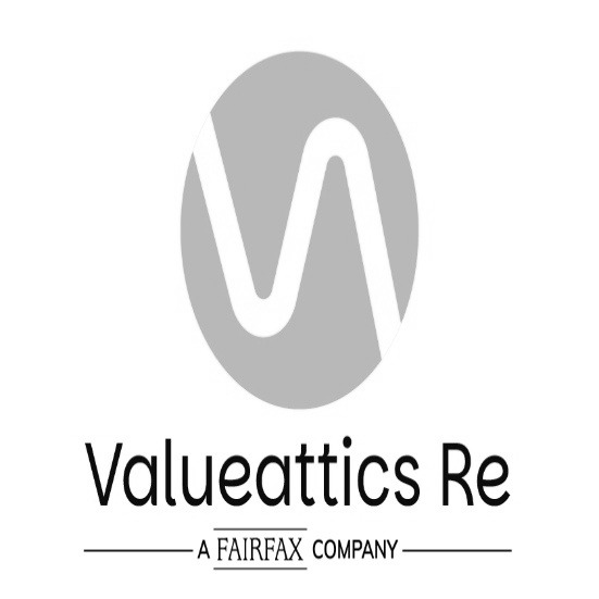Valueattics Re Device mark 7244501 Trademark
