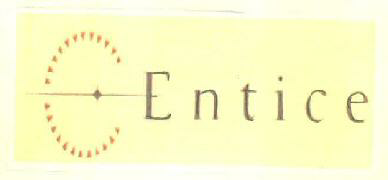Entice Device mark 2951650 Trademark