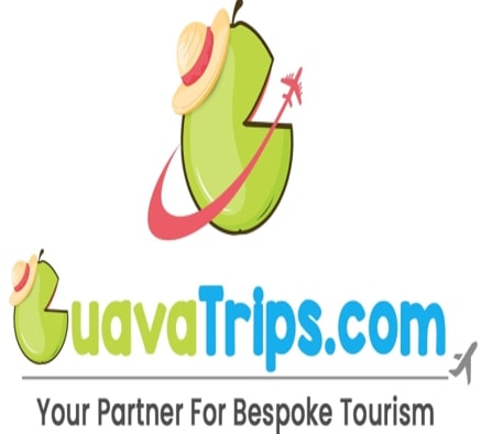 Guavatrips Device mark 7246542 Trademark