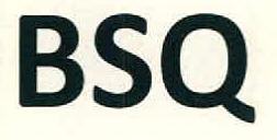 Bsq Device mark 2815596 Trademark