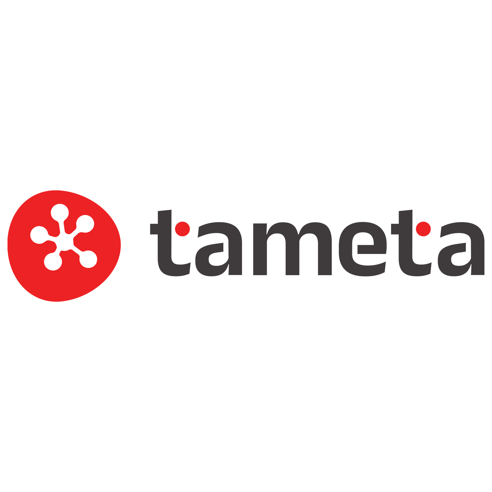 Tameta Device mark 7250741 Trademark
