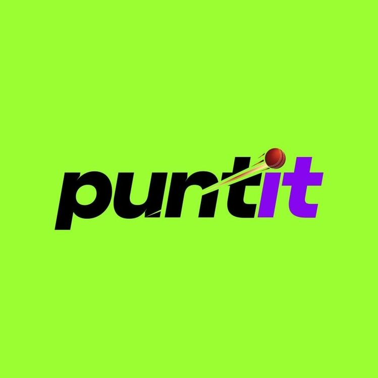 Puntit Device mark 7265908 Trademark