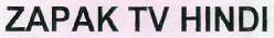 Zapak Tv Hindi Device mark 2537897 Trademark