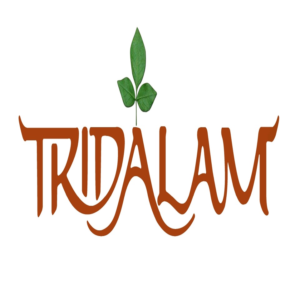 Tridalam Device mark 7269093 Trademark