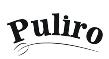 Puliro Device mark 7272619 Trademark