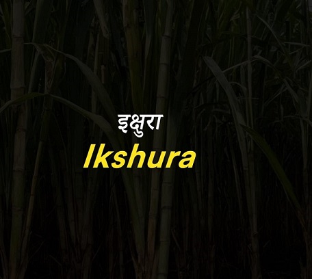 Ikshura Device mark 7278604 Trademark