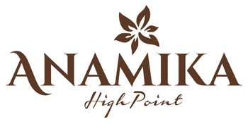 Anamika High Point Device mark 7281024 Trademark