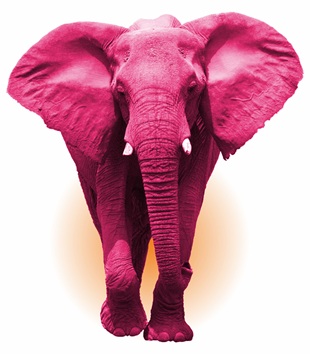 Device Of Pink Elephant Device mark 7286772 Trademark