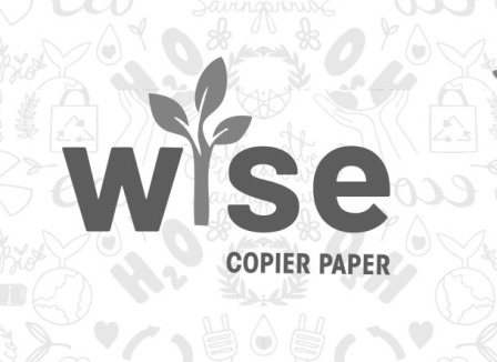 Wise Device mark 7298662 Trademark
