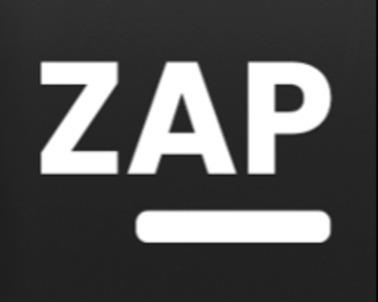 Zap Device mark 7303075 Trademark