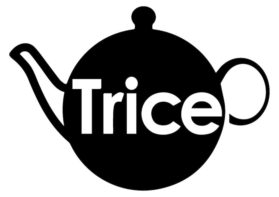 Trice Device mark 7303244 Trademark