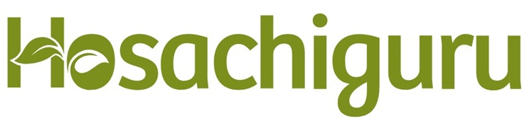 Hosachiguru Device mark 7306634 Trademark