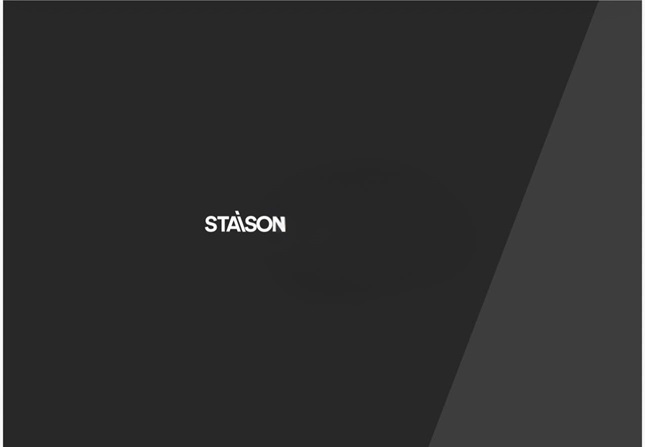 Staison Device mark 7305629 Trademark