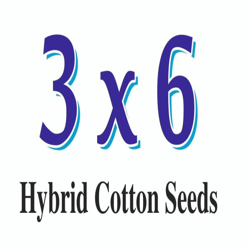 3 X 6 Hybrid Cotton Seeds Device mark 7313262 Trademark