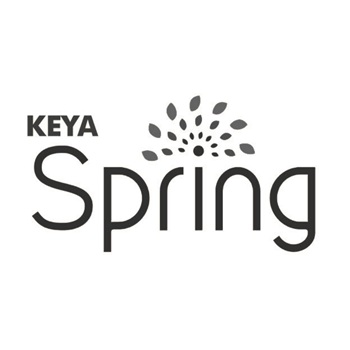 Keya Spring Device mark 7317166 Trademark
