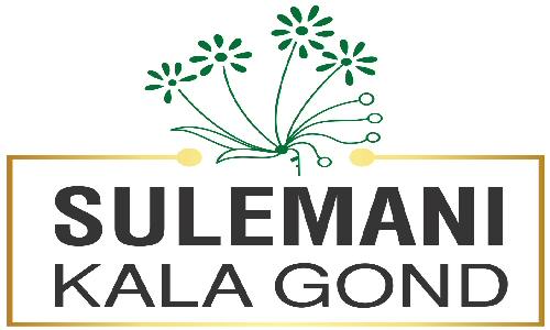 Sulemani Kala Gond Device mark 7314498 Trademark