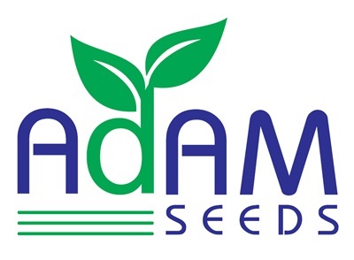 Adam Seeds Device mark 7322293 Trademark