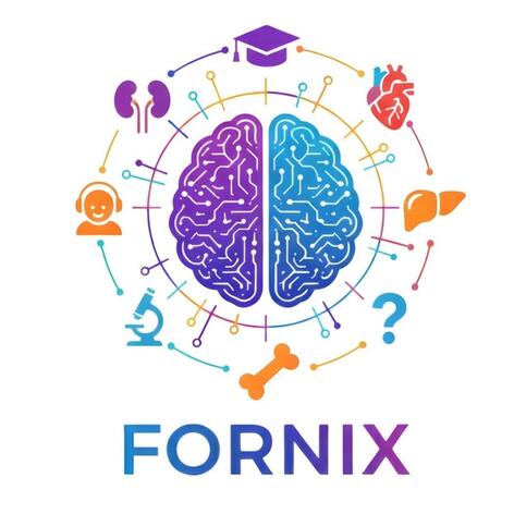 Fornix Device mark 7328913 Trademark