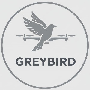 Greybird Device mark 7329597 Trademark