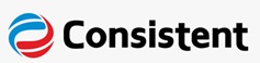 Consistent Device mark 7358861 Trademark