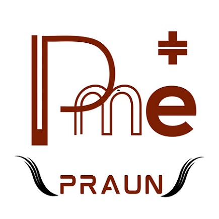 P Me Praun Device mark 7361859 Trademark
