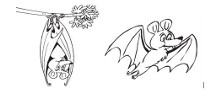 Device Of A Chiropteran Device mark 7364271 Trademark