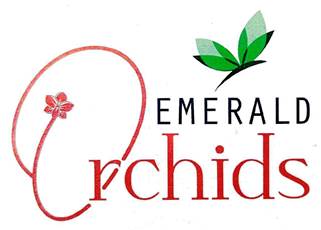 Emerald Orchids Device mark 7365692 Trademark