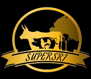 Supersri Device mark 7372046 Trademark
