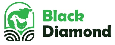 Black Diamond Device mark 7376152 Trademark